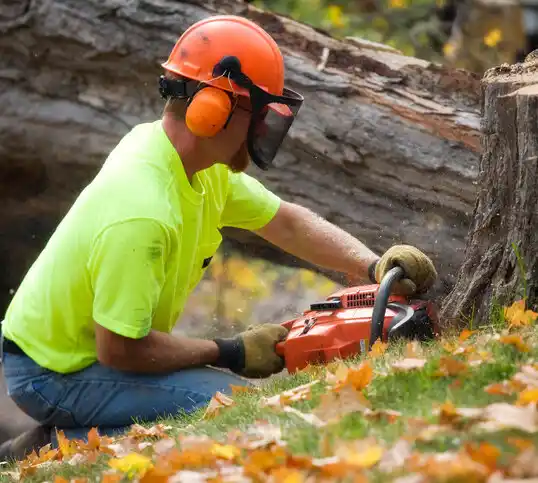 tree services Elton